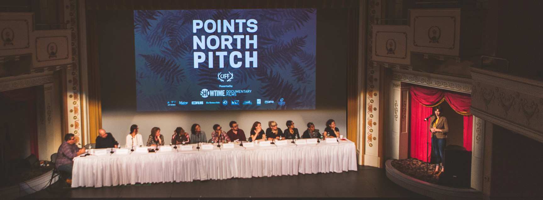 Emelie pitch